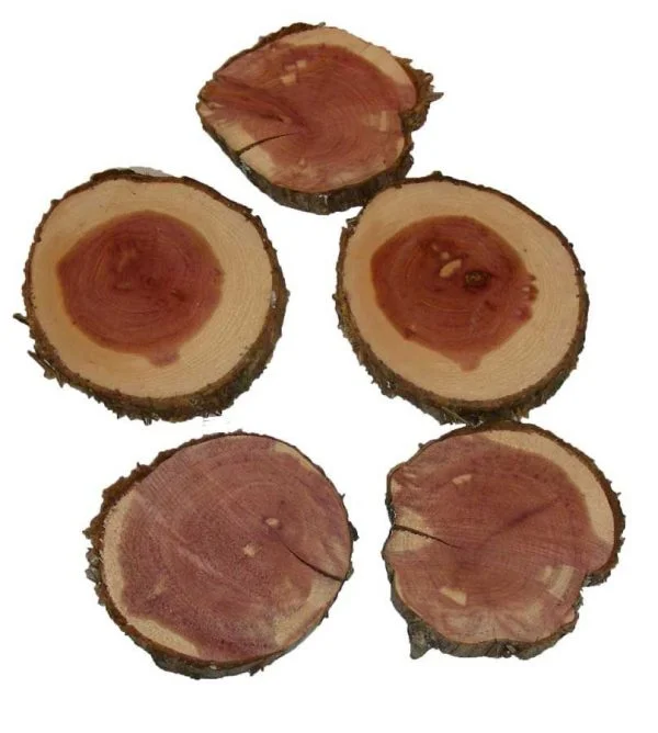 Woods Rounds Eastern Cedar 3" - 4"