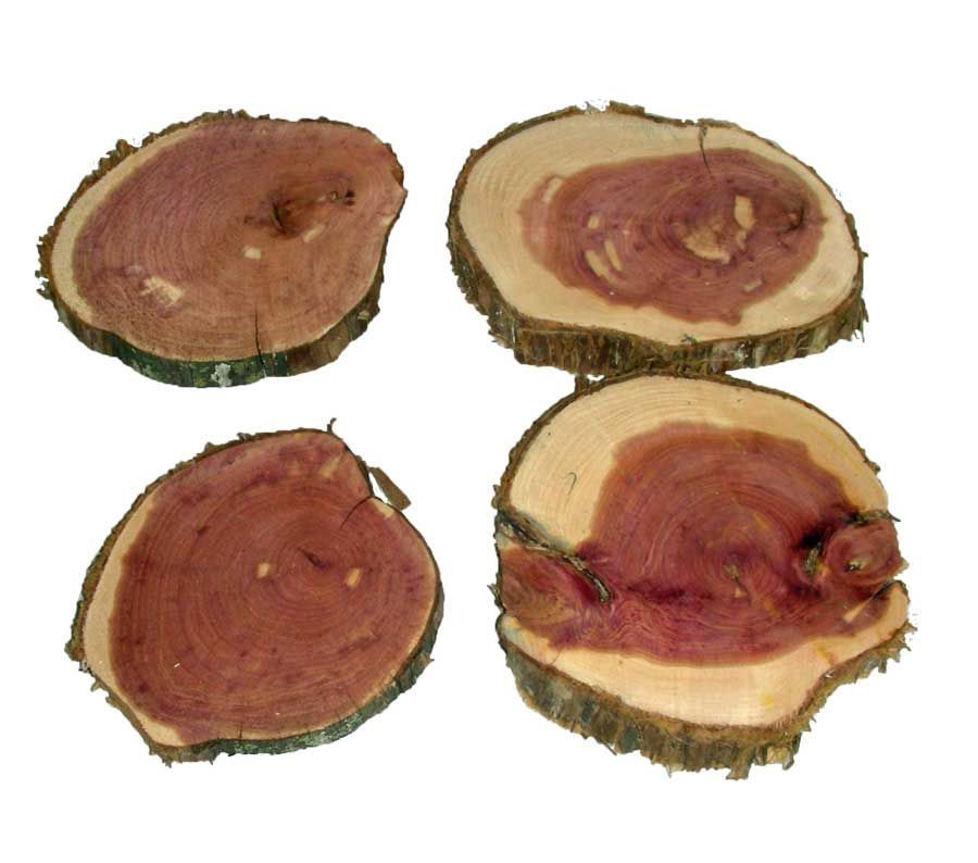 Wood Rounds Eastern Cedar 4" - 5"