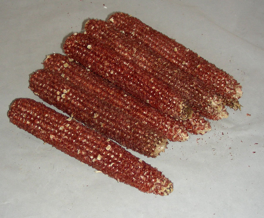 Red Corn Cob