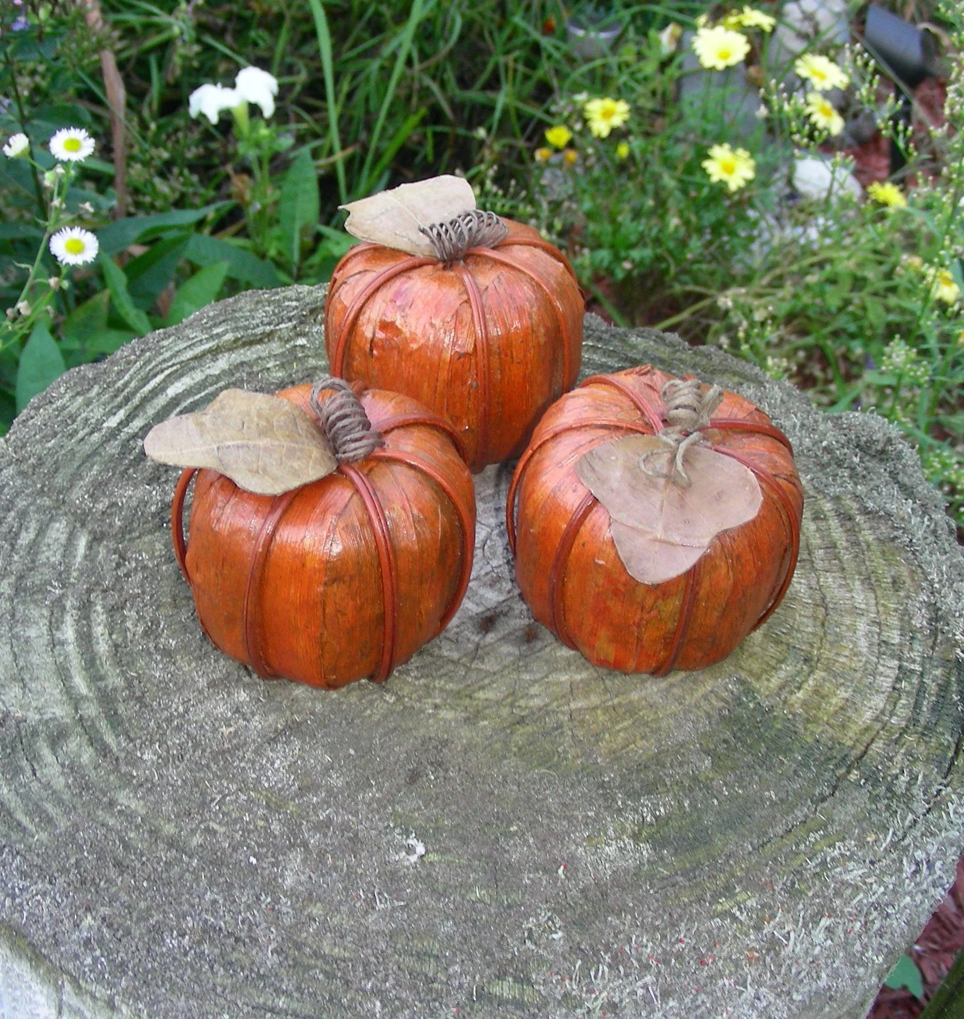 Pumpkin, country