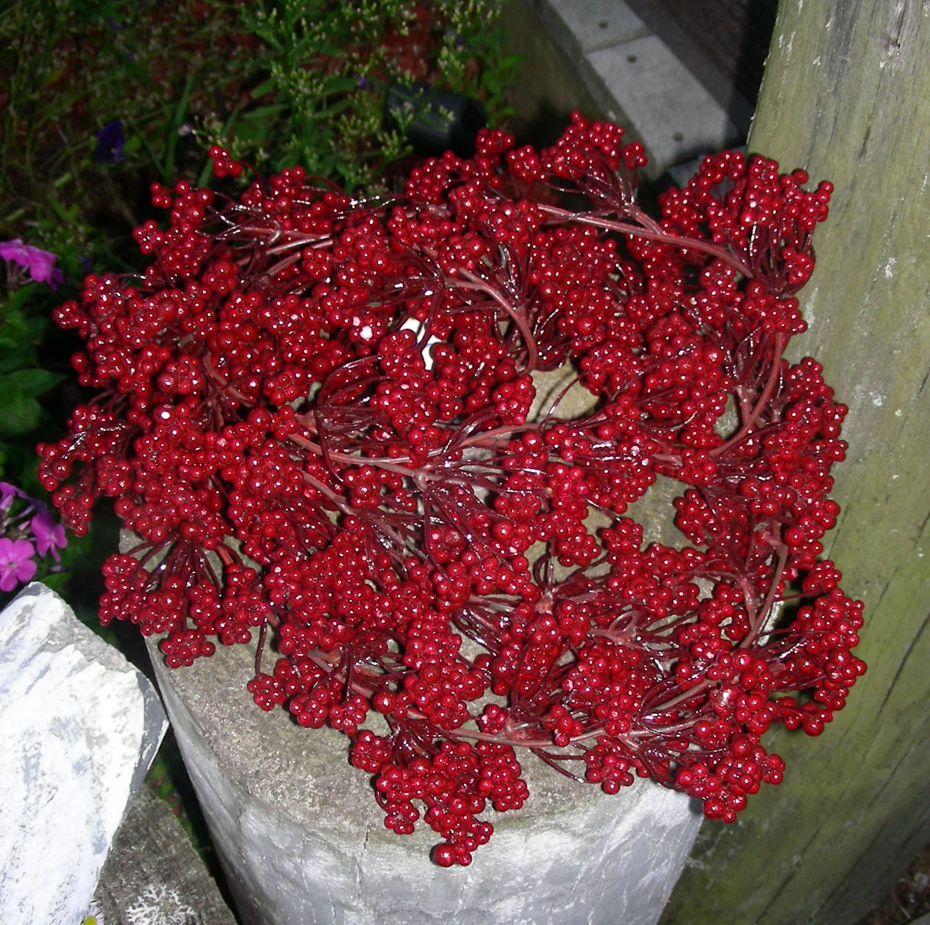 Red Berry Garland, 6-Foot