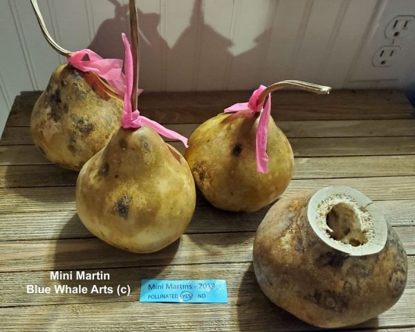 Mini Martin Gourd Seeds