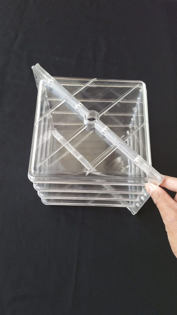 Large Square Fruit Mold