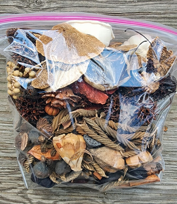 Mixed Natural Botanical - Gallon Bag